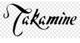 Takamine  GD30 Acoustic Guitar Natural