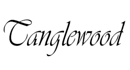 Tanglewood  Java Exotic Super Folk Acoustic Guitar