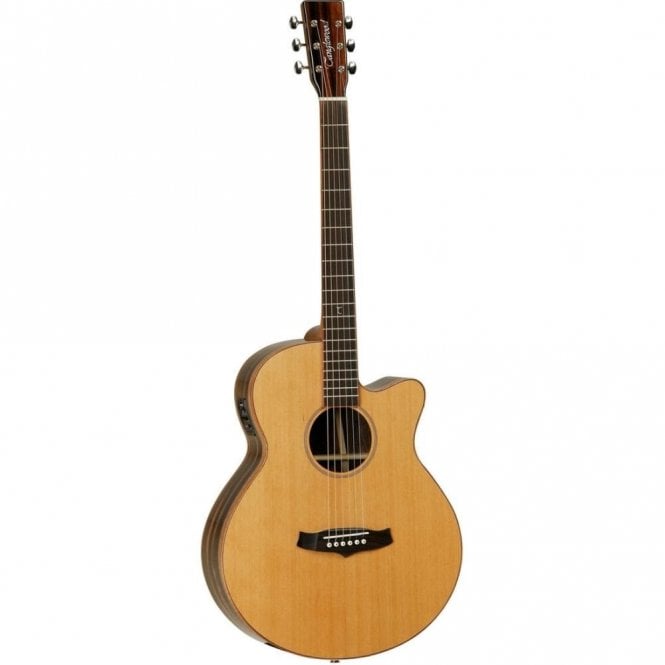 Tanglewood  Java Exotic Super Folk Acoustic Guitar